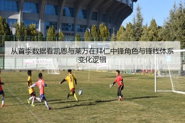 从首季数据看凯恩与莱万在拜仁中锋角色与锋线体系变化逻辑